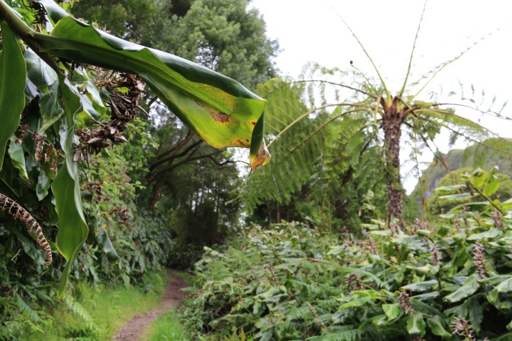 lagoaDasfurnas_track1